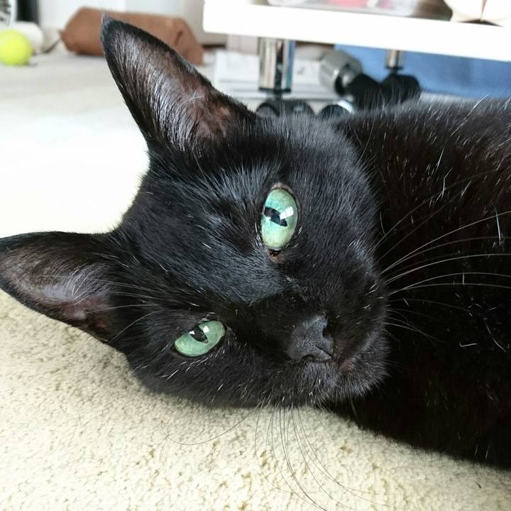 1cd60f59 b8d3 45b0 8395 0530b354db1c