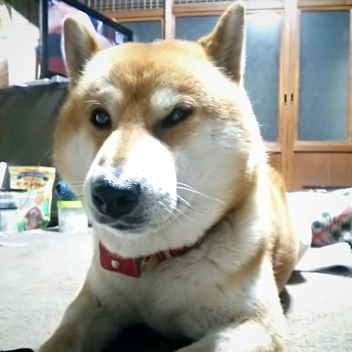 1cd64435 e017 4efb abb1 f9d989b58505