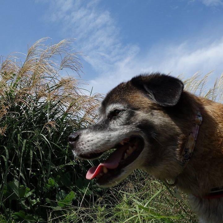 1cd6975f 489a 45f5 8bcb 4c6e3443d725