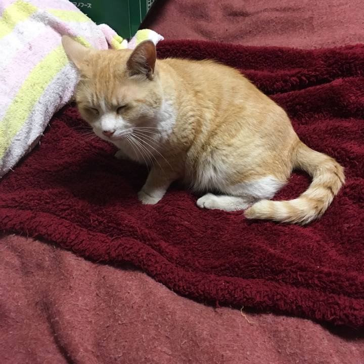 1cd6afcc 2005 40d8 95c9 58d5f8a66841