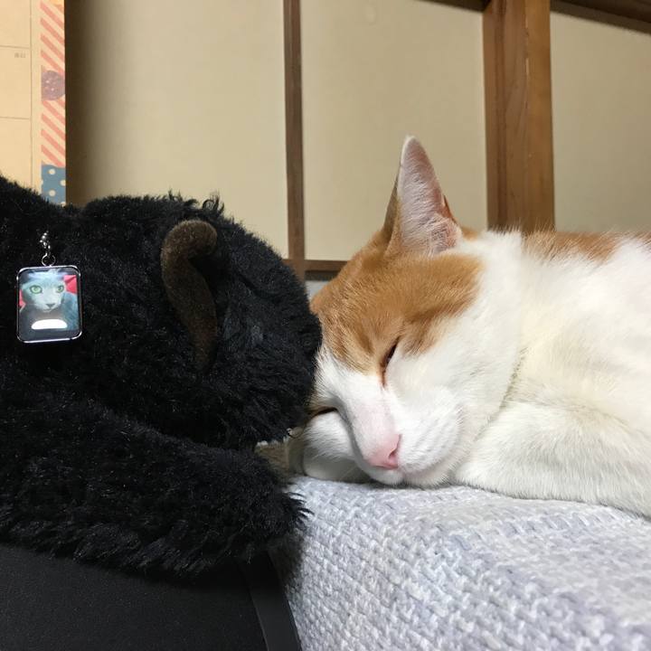 1cd6bbb6 7d3f 414e a8e8 aafdd6fc8b7f