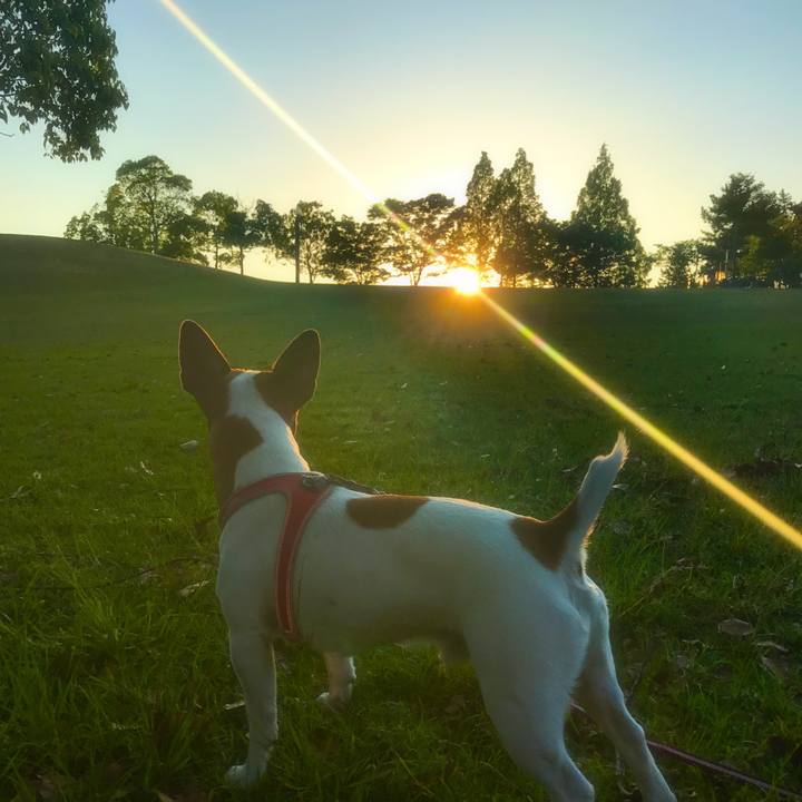 1cd7d922 839d 4a38 9d1a cb8a6e034eb7