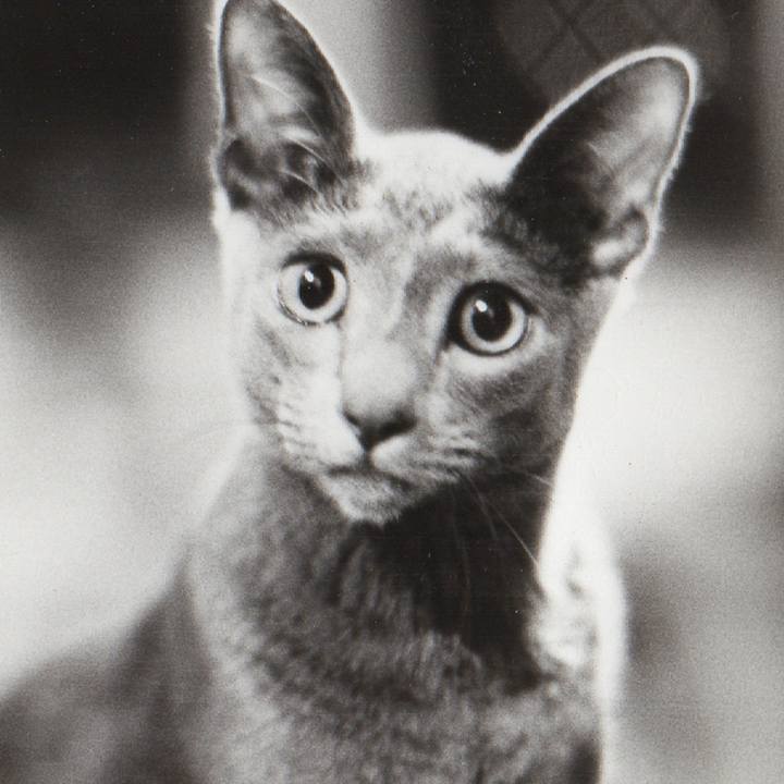 1cd8d24c c7f2 46d0 ae90 658555cf7bb6