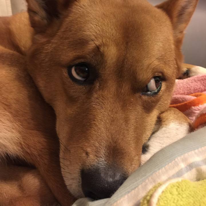 1cd90f78 77a0 4402 b4ae d3c369d06768