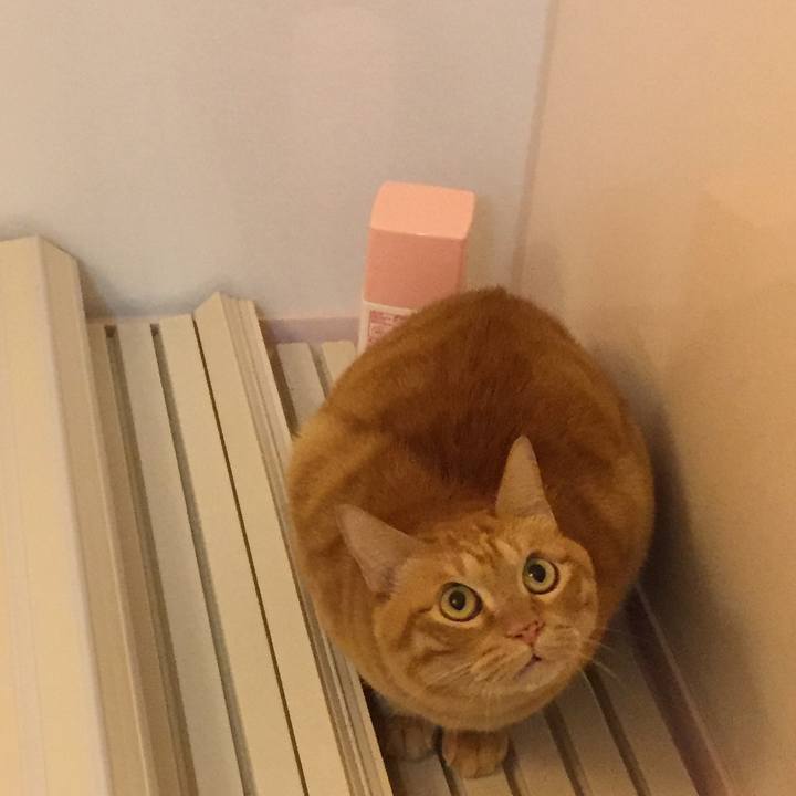 1cd92107 c851 4e7c b74d 5cd046876d6e