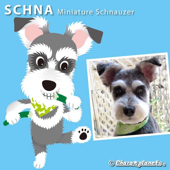 1cd99127 40a5 416e 9cb8 5e91e6358c83