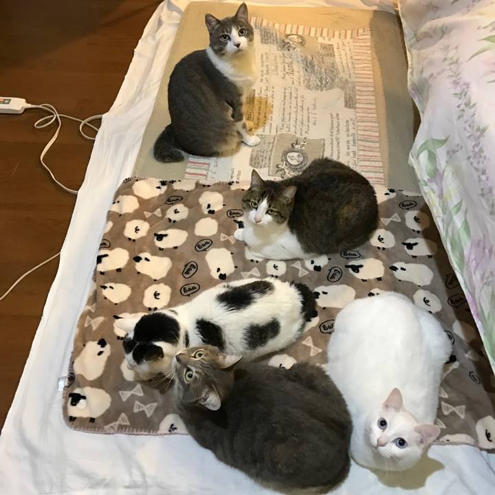 1cdac63a ba48 4df1 b5eb b9b4bcccae74