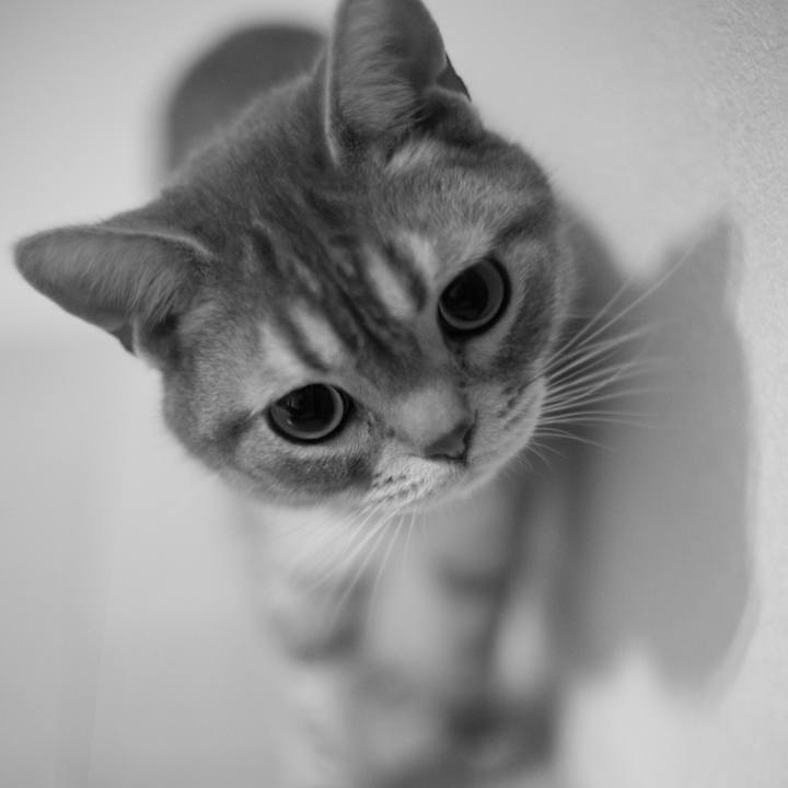 1cdb3f57 4ea9 401f 802d 12c1f6abb074