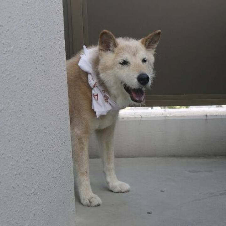 1cdb5518 7da4 41a6 be7f c8feab573e6a