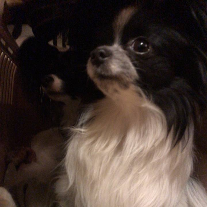 1cdbf0bc 8745 4fdf b3f7 f4a95a3f53f9