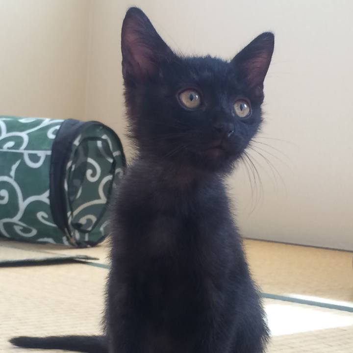 1cdc08ab 5d34 4d6e 85a4 536e563f718c