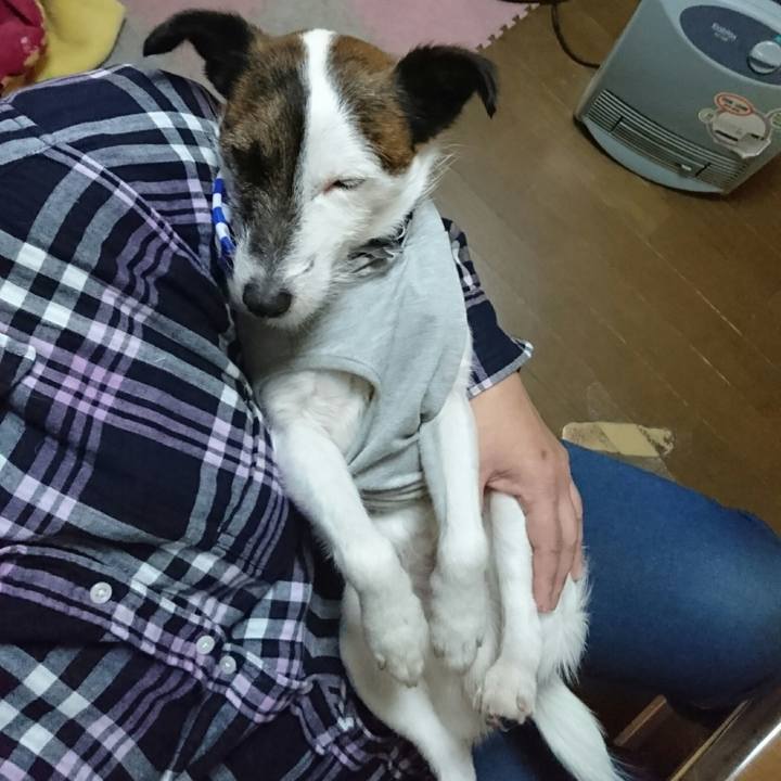 1cdc110e 3d60 428b 9ea8 158867989376