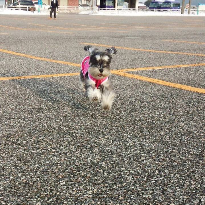 1cdc3f88 b92f 4a4c b1eb 1b99d87db0d7