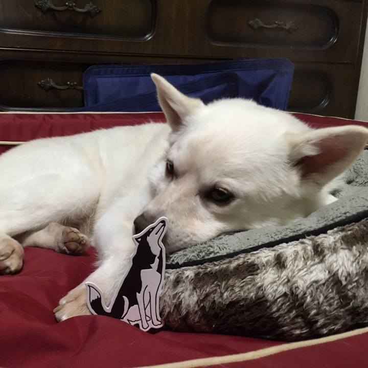 1cdd6617 0549 4a1e be5c d81882c98320