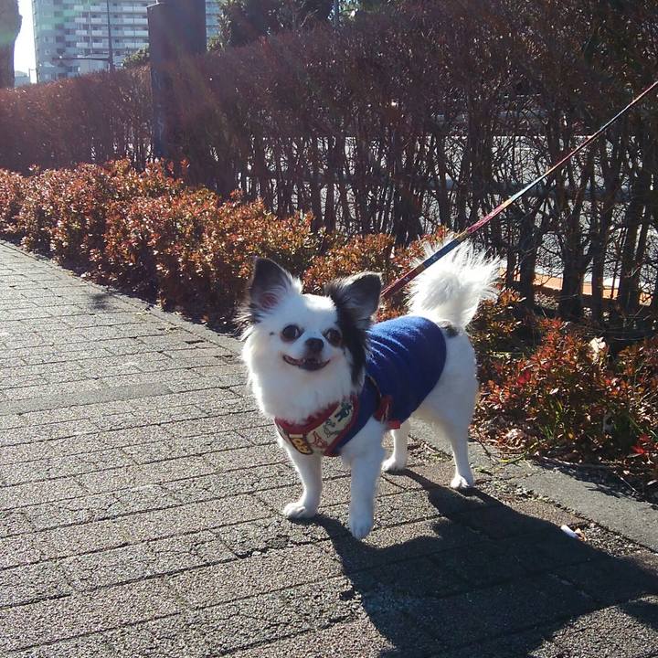 1cddb0f8 c748 4dd9 a6f0 102d5ec1f63c