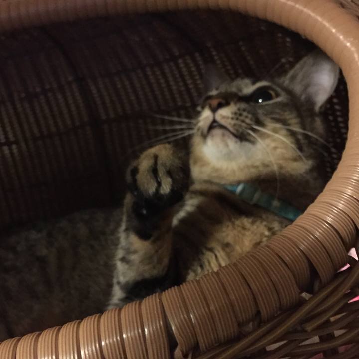 1cddb286 884a 4d6f 81ce 9ea67eebc72d