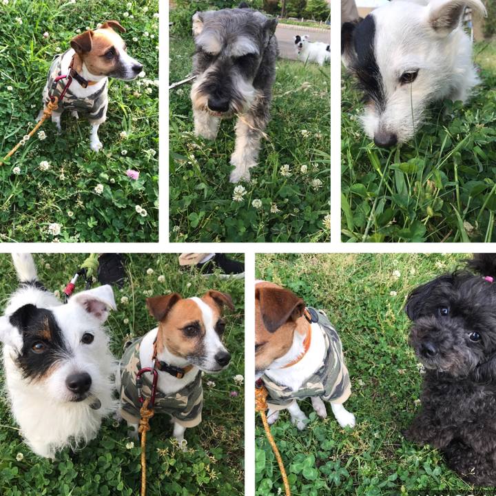 1cddde4e 321a 43cd 9dfd 51229dde6c36