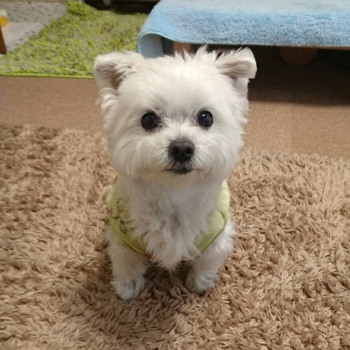 1cdfa300 9fb8 4aa4 913d 05480e883616