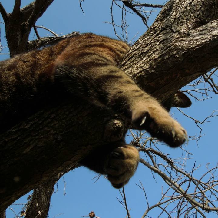 1cdfe363 03fc 451f 8b8b 17bd56982c9a