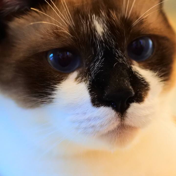 1ce0d8f7 3880 48e3 985d 5ef237f9cf27