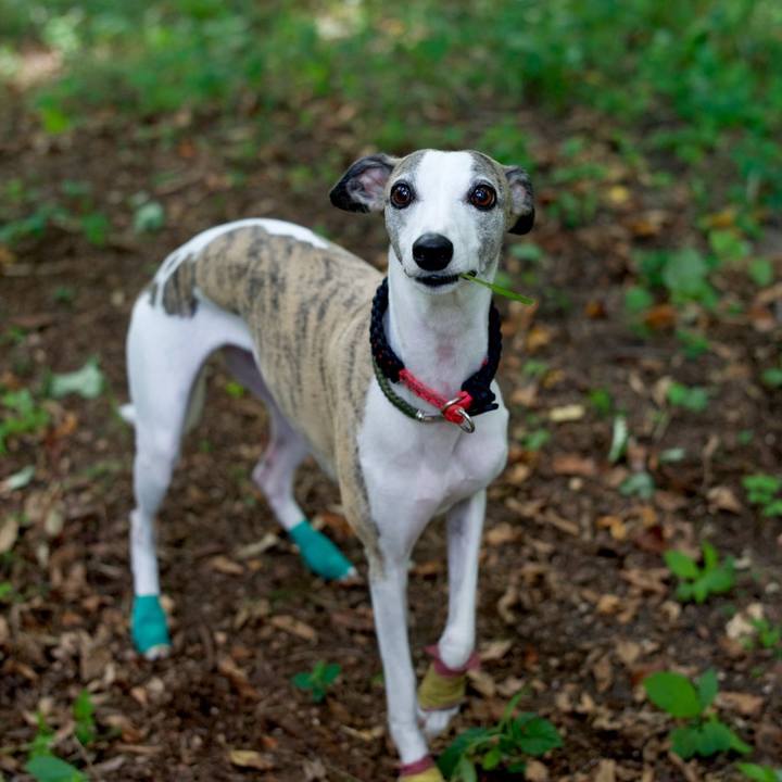 1ce0f27b 9ad7 4fc3 b75d 35b82d50799d