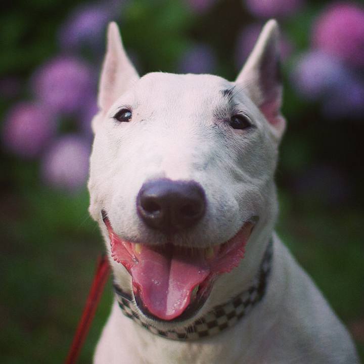 1ce1032c 1cc4 4464 b456 d15f74fe6d67