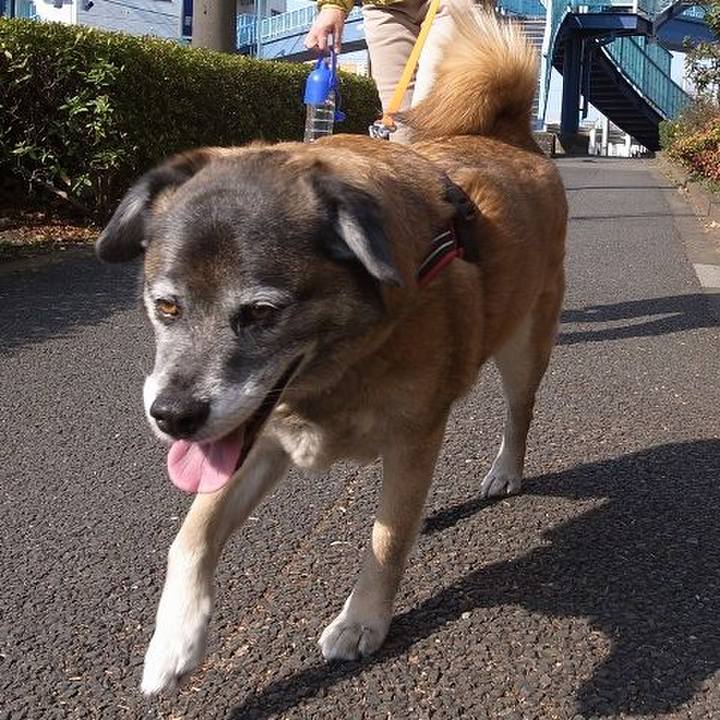 1ce14cf8 7ea3 45d1 a5de 09a94ff70e9b