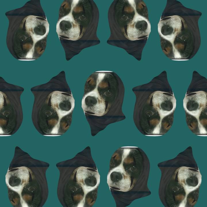 1ce19a75 54c5 48d0 80e3 f9d3c1ca02d8