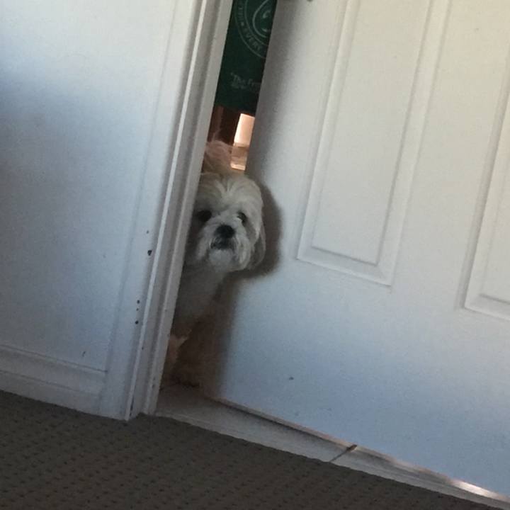 1ce1f079 9910 4ce4 85f1 71b983ec8281