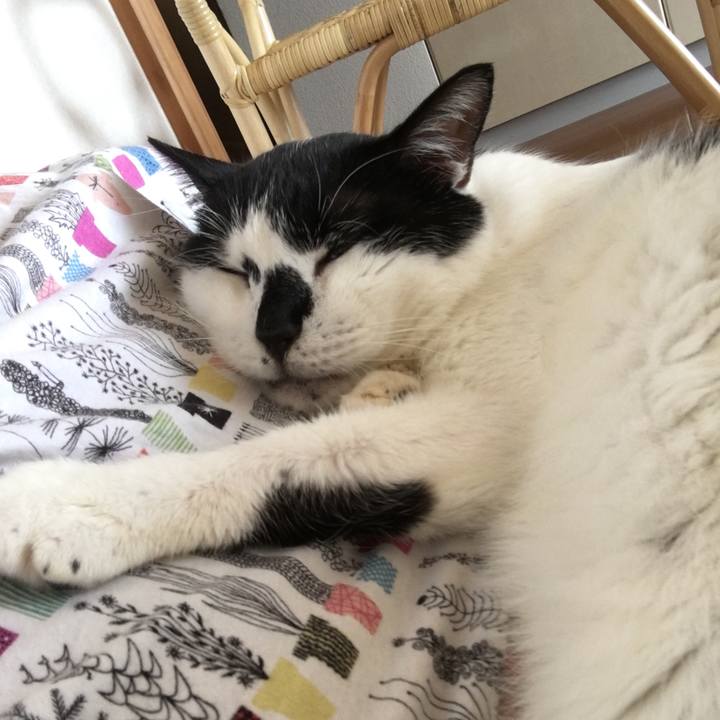 1ce20dac a2f6 4eb6 90d2 e090872ab237