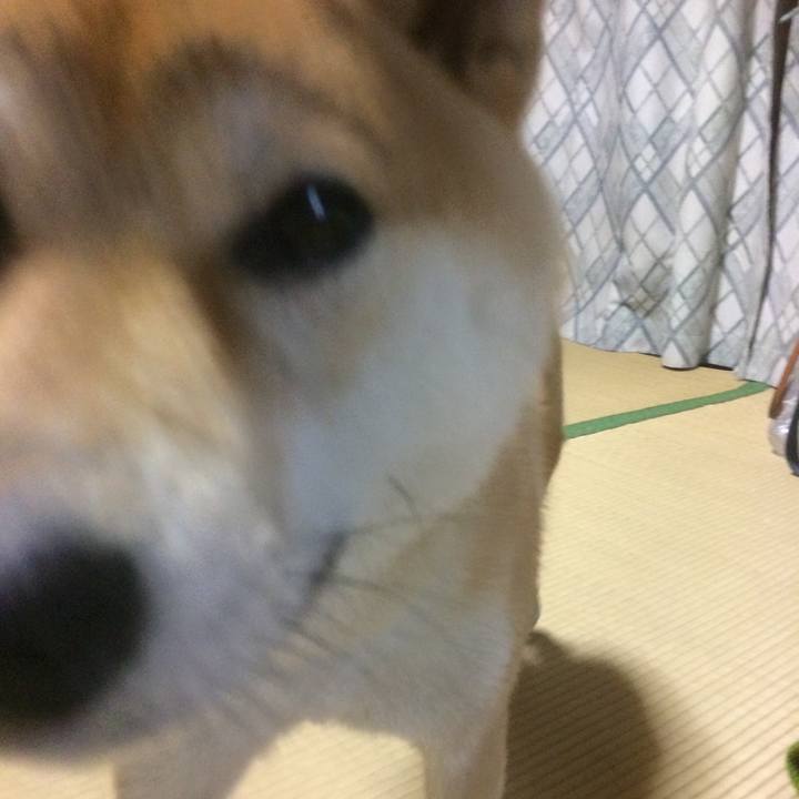 1ce2450f 6a54 4a2d b3b9 ce6af332408d