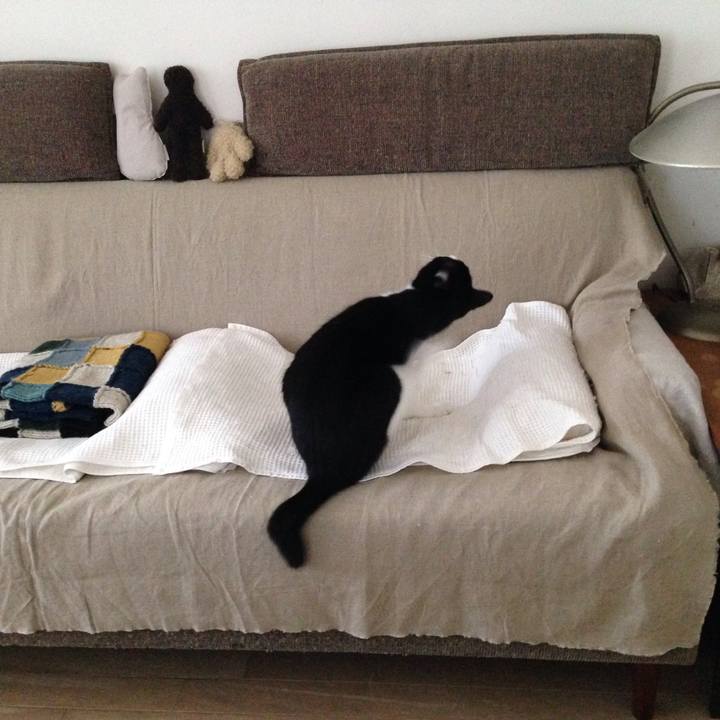 1ce297fa 1304 4ba4 8079 9263d1b4d95a