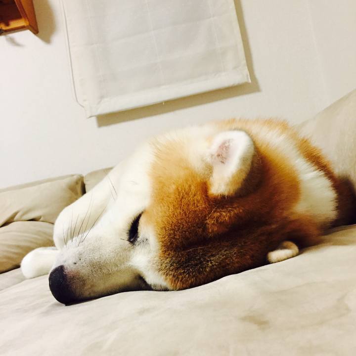 1ce29b6d b7d3 4daa a464 dd63f40ddd56