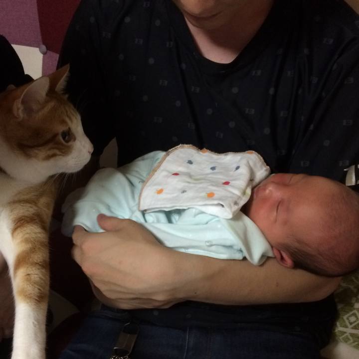 1ce445ea dd8c 45b4 9cac 6f03b2310dac