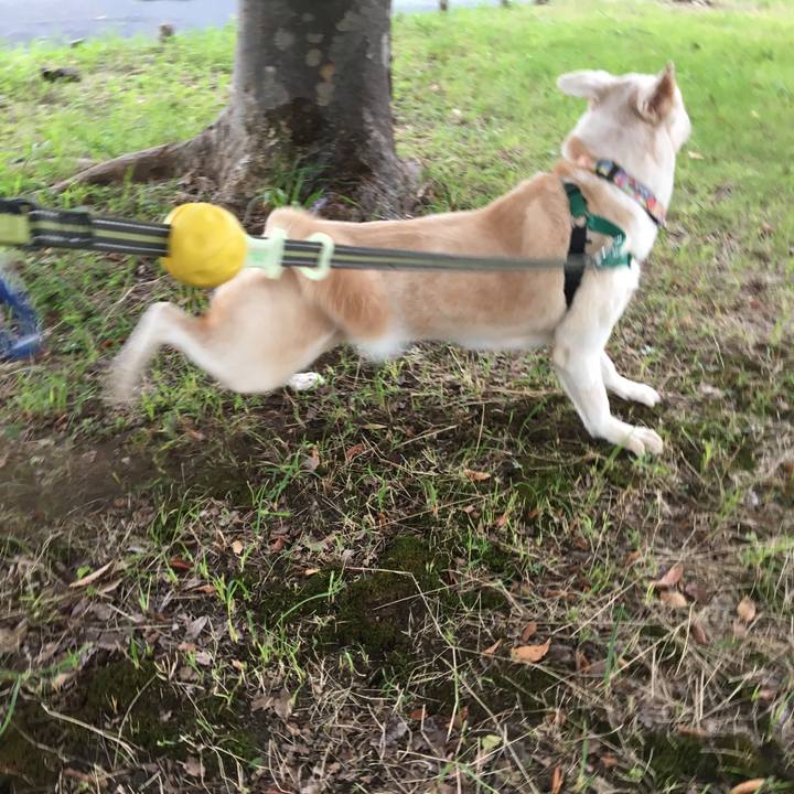 1ce497c4 0f72 469b 9cf9 e46c117faaf2