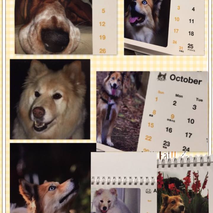 1ce525cd 4ac0 43e7 9fb3 ef1e92e5bd6d