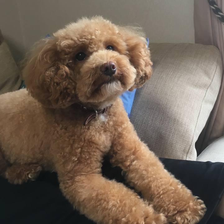 1ce55603 a7c6 40f5 834f 3ad89aecaadf