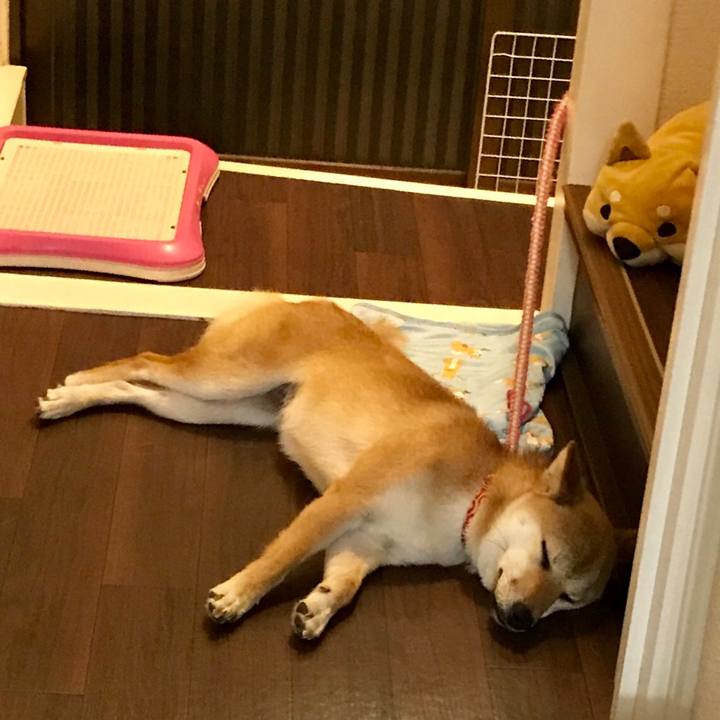 1ce58c5c 46c4 41c8 8e32 677827fb369e