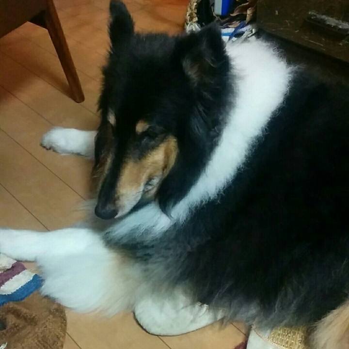 1ce5bd99 c65b 4e57 b668 4476e61efad4