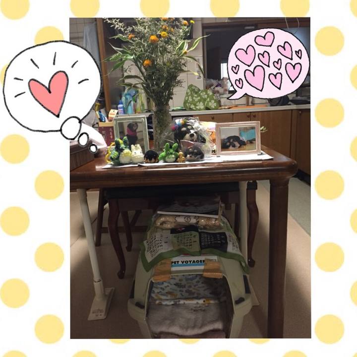 1ce641dc 6167 4d40 adf7 9c672eaeb0b9