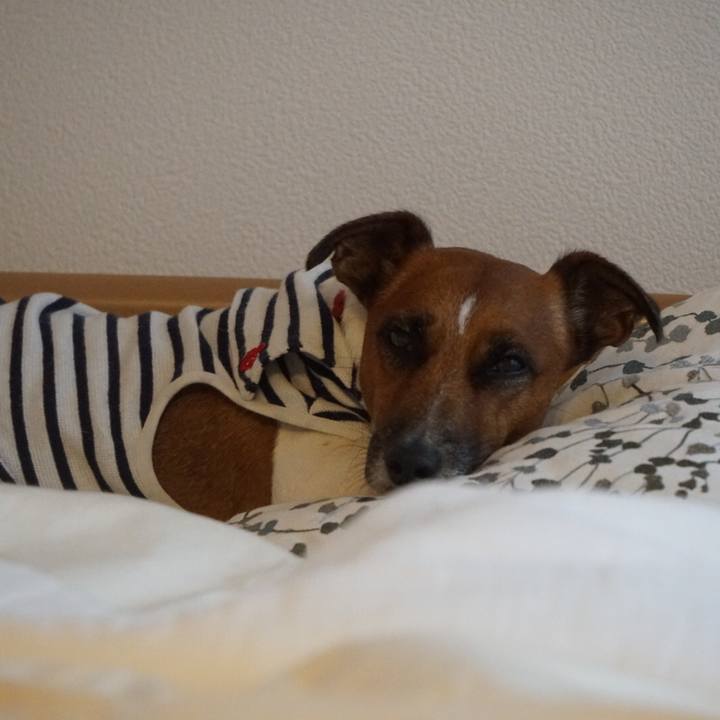 1ce76355 fa3a 4d6d 9d3e 3cbcaa9b4fb3