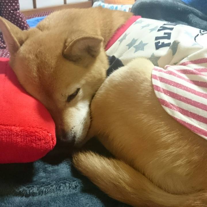 1ce79b18 6ea7 4cf2 bc00 0eab926ca39f