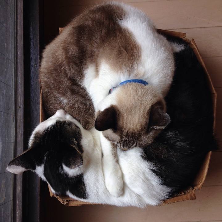 1ce7b020 28e3 4272 95db 9a8e2f30ee54