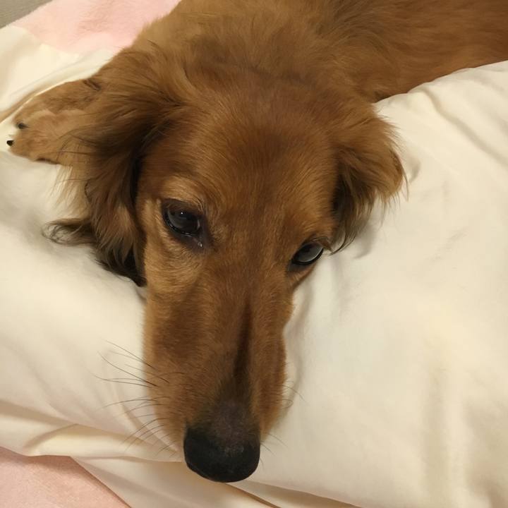 1ce7d06e 52f9 41ee ab0c d7ccad9f2148