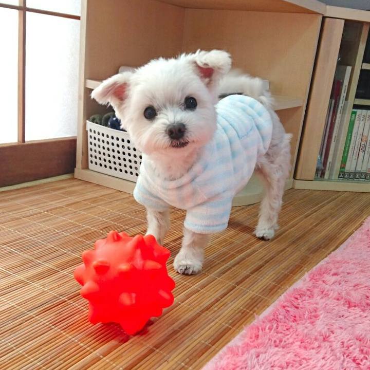 1ce8061b 38e9 478e b219 ff50ee66dded