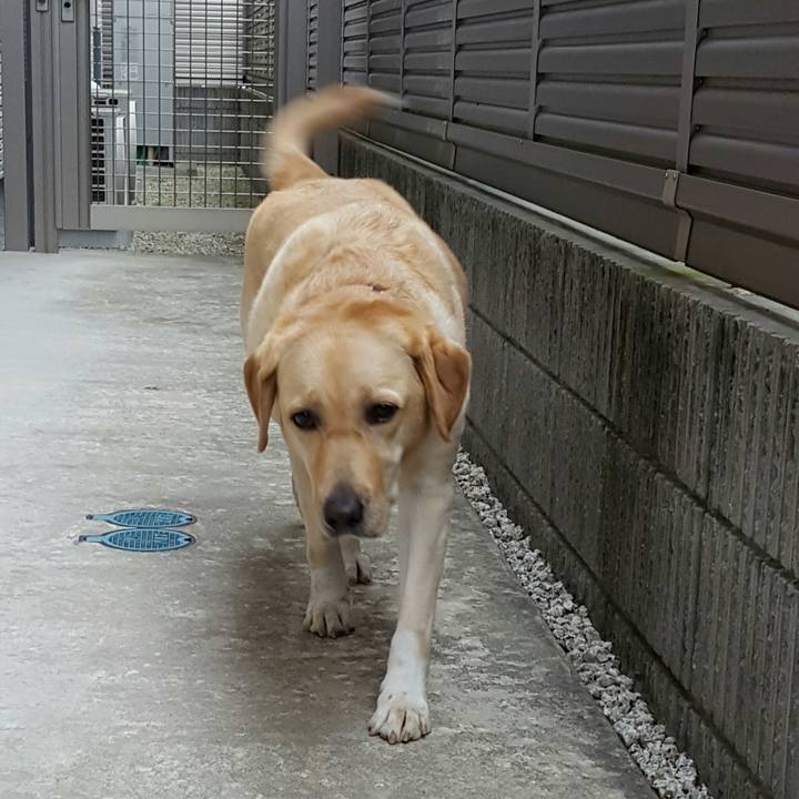 1ce8e2a3 e993 48fc 9cb5 83bc936691d9