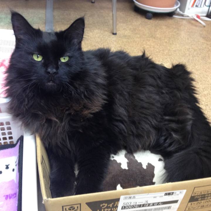 1ce9fb43 f897 4f77 a3b3 6103483745b7