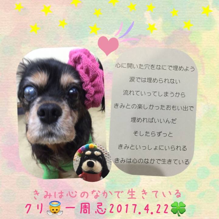 1ceb4f4d dfbc 456a 84e8 b03e4d377e88