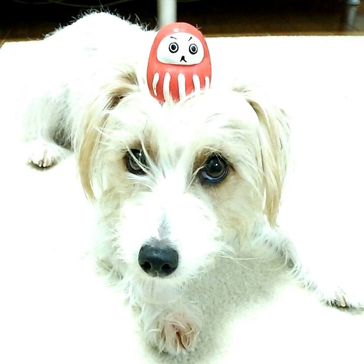 1ceb7993 2be1 4e43 94fa 5d35f83eb9ff