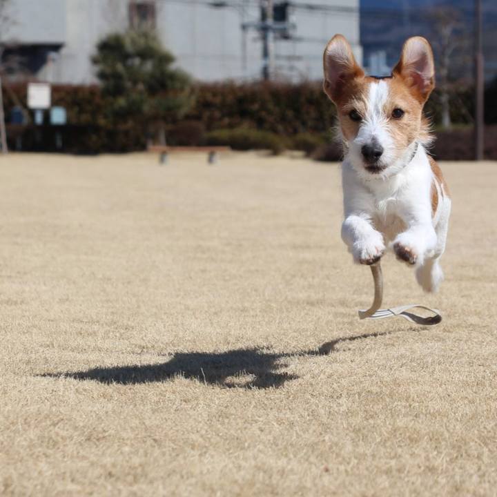 1ceb9411 d49e 4515 a474 896825d4becb